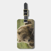 Bruin beer, of kustGrizzly Beer, Ursus Bagagelabel (Voorkant verticaal)