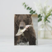 Bruin beer, of kustGrizzly Beer, Ursus Briefkaart (Staand voorkant)