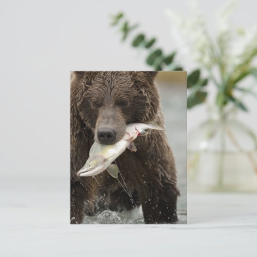 Bruin beer, of kustGrizzly Beer, Ursus Briefkaart (Staand voorkant)
