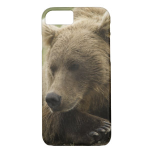 Bruin beer, of kustGrizzly Beer, Ursus iPhone 8/7 Hoesje