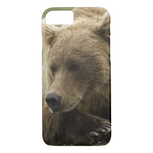 Bruin beer, of kustGrizzly Beer, Ursus Case-Mate iPhone Case (Achterkant)