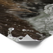 Bruin beer, of kustGrizzly Beer, Ursus Poster (Hoek)