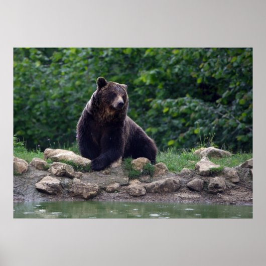 Bruin beer poster (Voorkant)