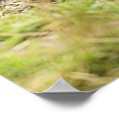 Bruin Beer Poster (Hoek)