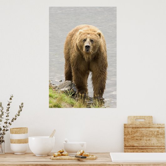 Bruin Beer Poster (Keuken)