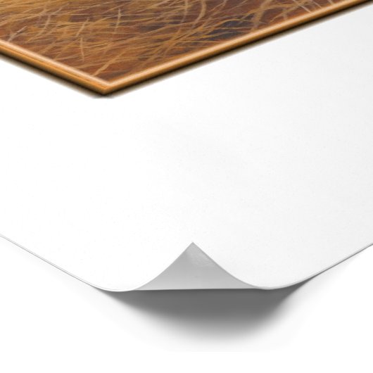 bruin beer poster (Hoek)