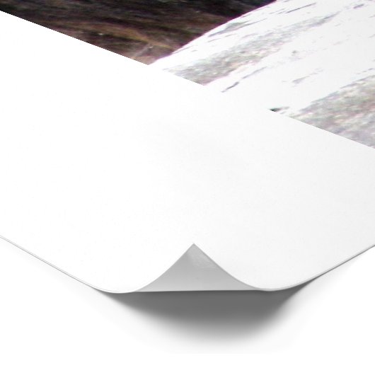 Bruin Beer Poster (Hoek)