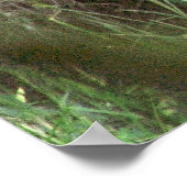 Bruin Beer Poster (Hoek)