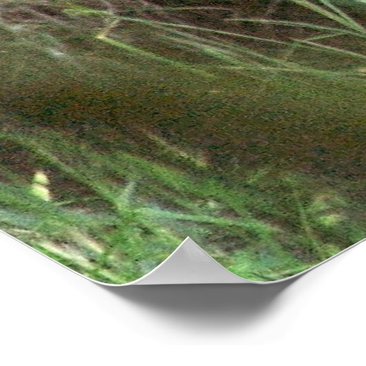 Bruin Beer Poster (Hoek)