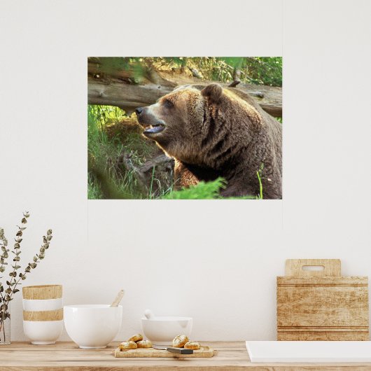 Bruin Beer Poster (Keuken)