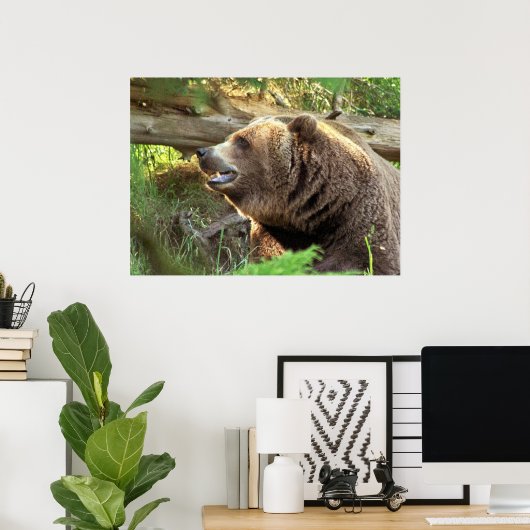 Bruin Beer Poster (Thuiskantoor)