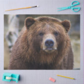 Bruin Beer Tissuepapier (Craft)