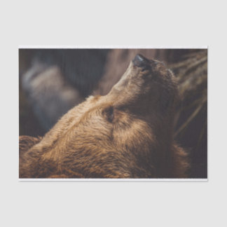 Bruin Beer Tissuepapier