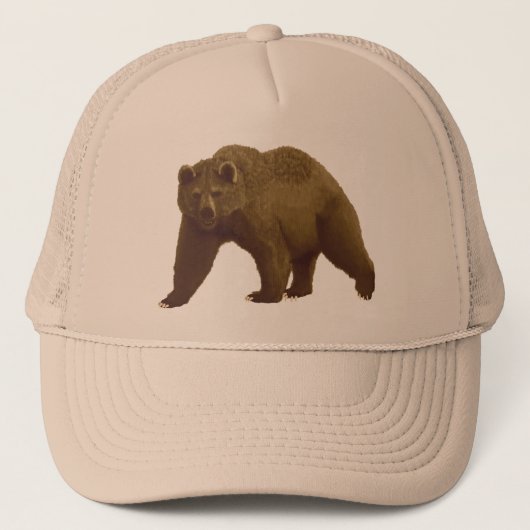 Bruin Beer Trucker Pet (Voorkant)