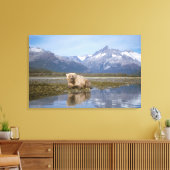 bruin beer, Ursus arctos, grizzly beer, Ursus 4 Canvas Afdruk (Insitu (Woonkamer))