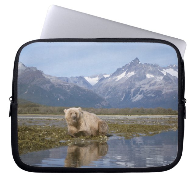 bruin beer, Ursus arctos, grizzly beer, Ursus 4 Laptop Sleeve (Voorkant)