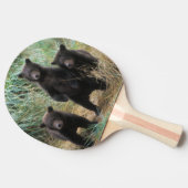 bruin beer, Ursus arctos, grizzly beer, Ursus 7 2 Tafeltennisbatje (Zijkant)