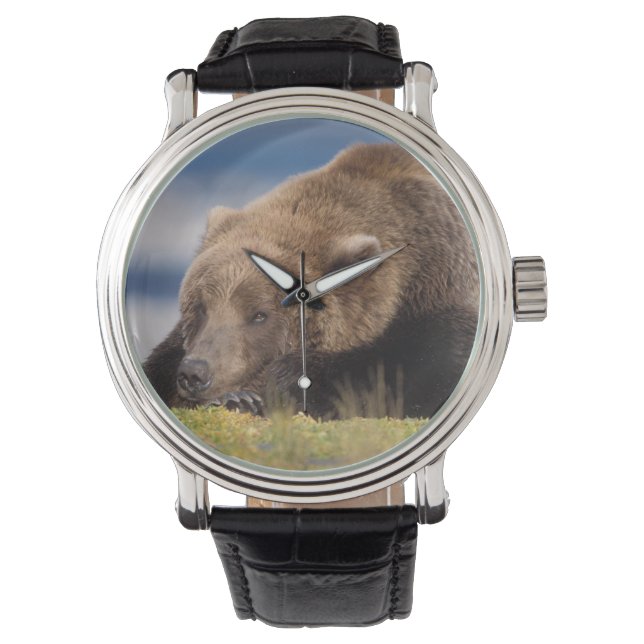 bruin beer, Ursus arctos, grizzly beer, Ursus 8 Horloge (Voorkant)
