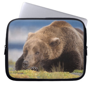 bruin beer, Ursus arctos, grizzly beer, Ursus 8 Laptop Sleeve