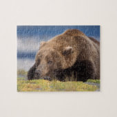 bruin beer, Ursus arctos, grizzly beer, Ursus 8 Legpuzzel (Horizontaal)