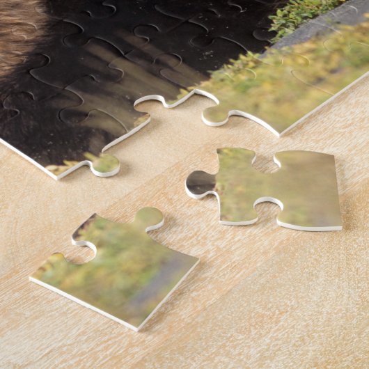 bruin beer, Ursus arctos, grizzly beer, Ursus 8 Legpuzzel (Zijkant)