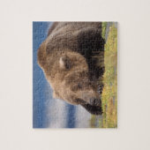 bruin beer, Ursus arctos, grizzly beer, Ursus 8 Legpuzzel (Verticaal)