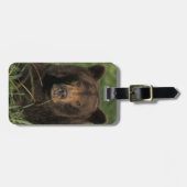 bruin beer, Ursus arctos, grizzly beer, Ursus 9 Bagagelabel (Voorkant horizontaal)