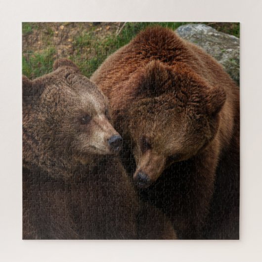 Bruin Beer Vrouw staren op man Legpuzzel (Verticaal)
