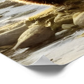 Bruin Beer Wildlife Portret Poster (Hoek)