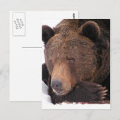 Bruin Beer Winter Briefkaart (Voorkant / Achterkant)