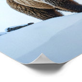 Bruin Beer Winterlandschap Poster (Hoek)