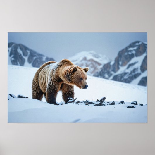 Bruin Beer Winterlandschap Poster (Voorkant)