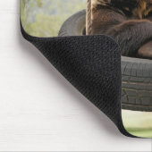 Bruin Beer zittend in een bandschommel Muismat (Hoek)