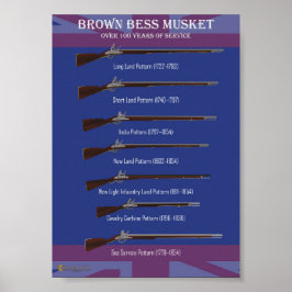Bruin-bess-evolutie Poster