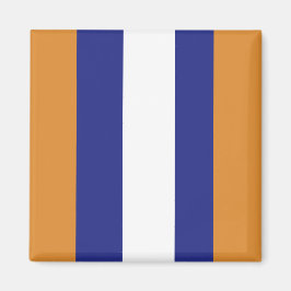 Bruin, blauw en witte strepen magneet