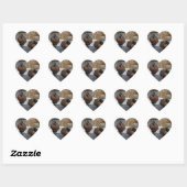 Bruin Blauwgroen Hart Sticker (Vel)