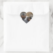 Bruin Blauwgroen Hart Sticker (Tas)