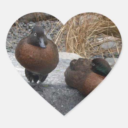 Bruin Blauwgroen Hart Sticker (Voorkant)