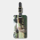 Bruin blond, twee miniatuurpaarden, "Little Pony" Bagagelabel (Voorkant verticaal)