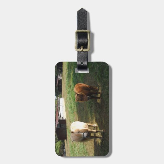 Bruin blond, twee miniatuurpaarden, "Little Pony" Bagagelabel (Voorkant verticaal)