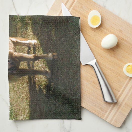 Bruin blond, twee miniatuurpaarden, "Little Pony" Theedoek (Quarter Fold)