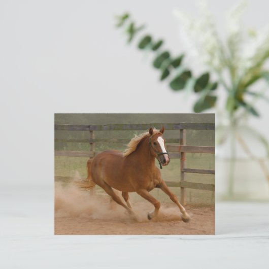 Bruin Briefkaart (Staand voorkant)