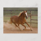 Bruin Briefkaart (Voorkant)