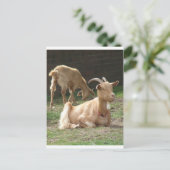 Bruin Briefkaart (Staand voorkant)