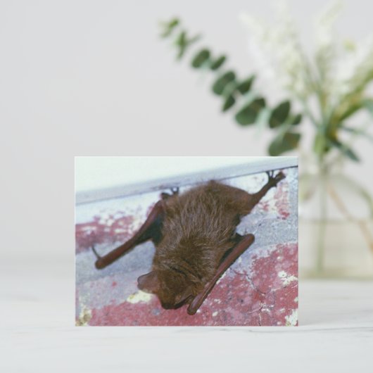 Bruin Briefkaart (Staand voorkant)