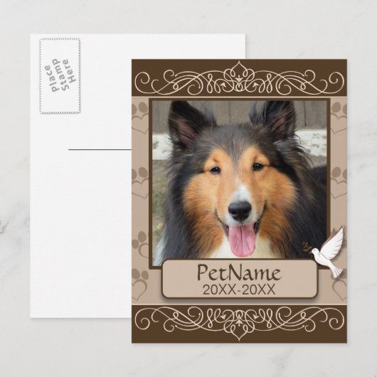 Bruin Calligrafen zwemt op maat Briefkaart (Voorkant / Achterkant)