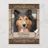 Bruin Calligrafen zwemt op maat Briefkaart (Voorkant)