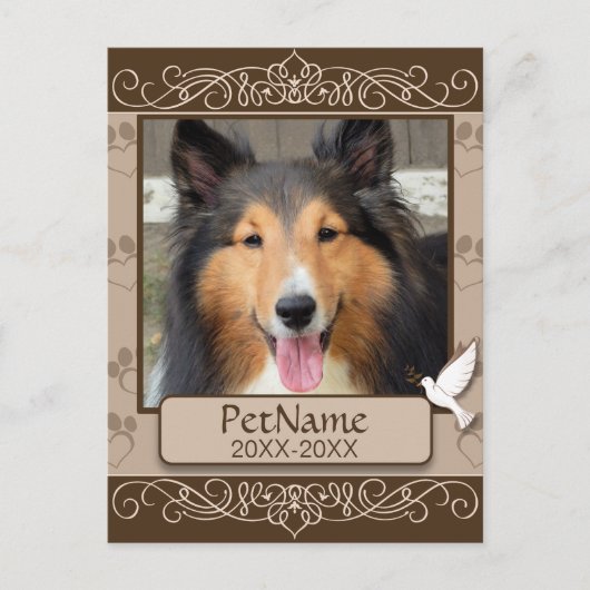 Bruin Calligrafen zwemt op maat Briefkaart (Voorkant)