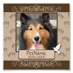 Bruin Calligrafen zwemt op maat Foto Afdruk