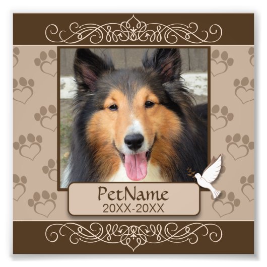 Bruin Calligrafen zwemt op maat Foto Afdruk (Voorkant)